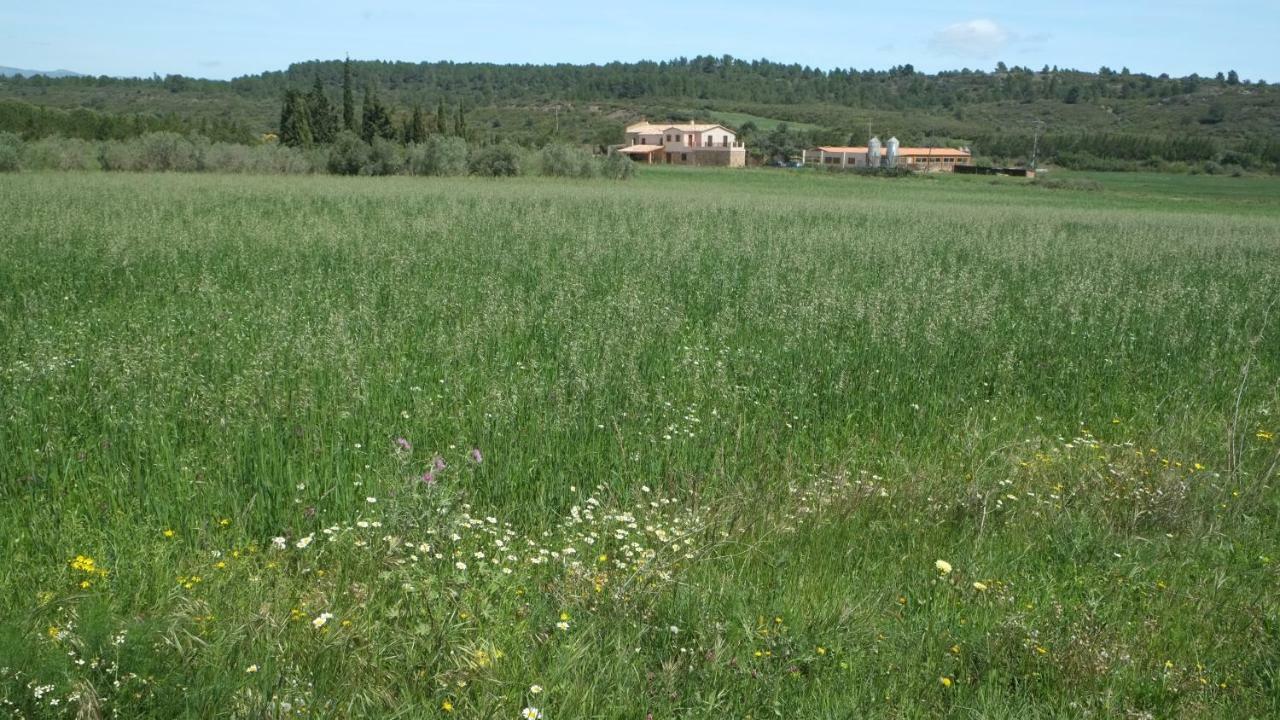 La Masia De Montpedros เปราลาดา ภายนอก รูปภาพ